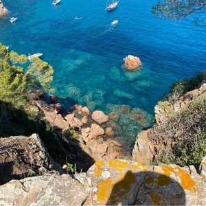 Meet your Posher, Patrick